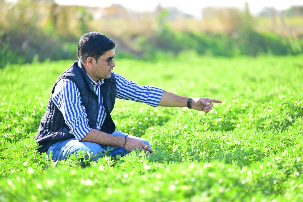 Field inspection — examining organic crop health and guiding sustainable farming practices in the field