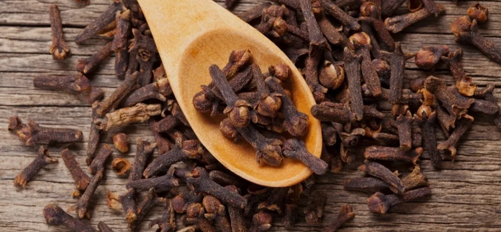 Clove