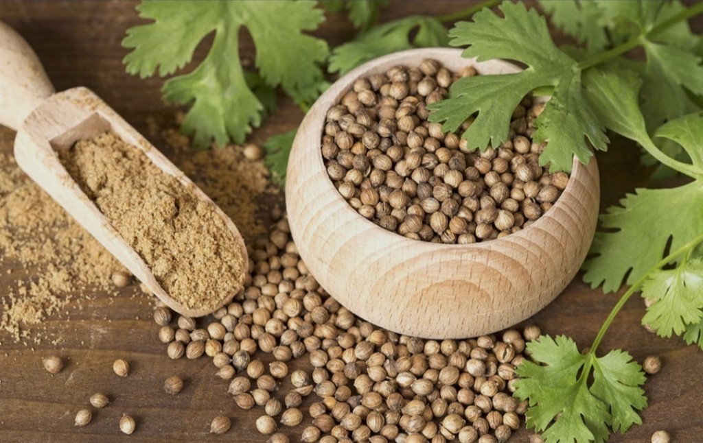 Coriander seed and powder