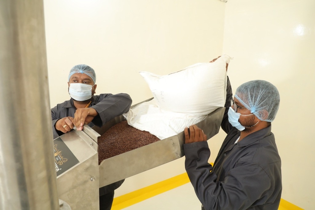 Rapid Organic cleanroom in-feed — operators loading harvested seeds into stainless steel processing hopper